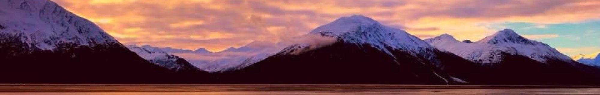 DEE SCOTT ERICKSON, author